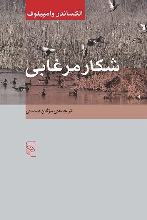 شکار مرغابی